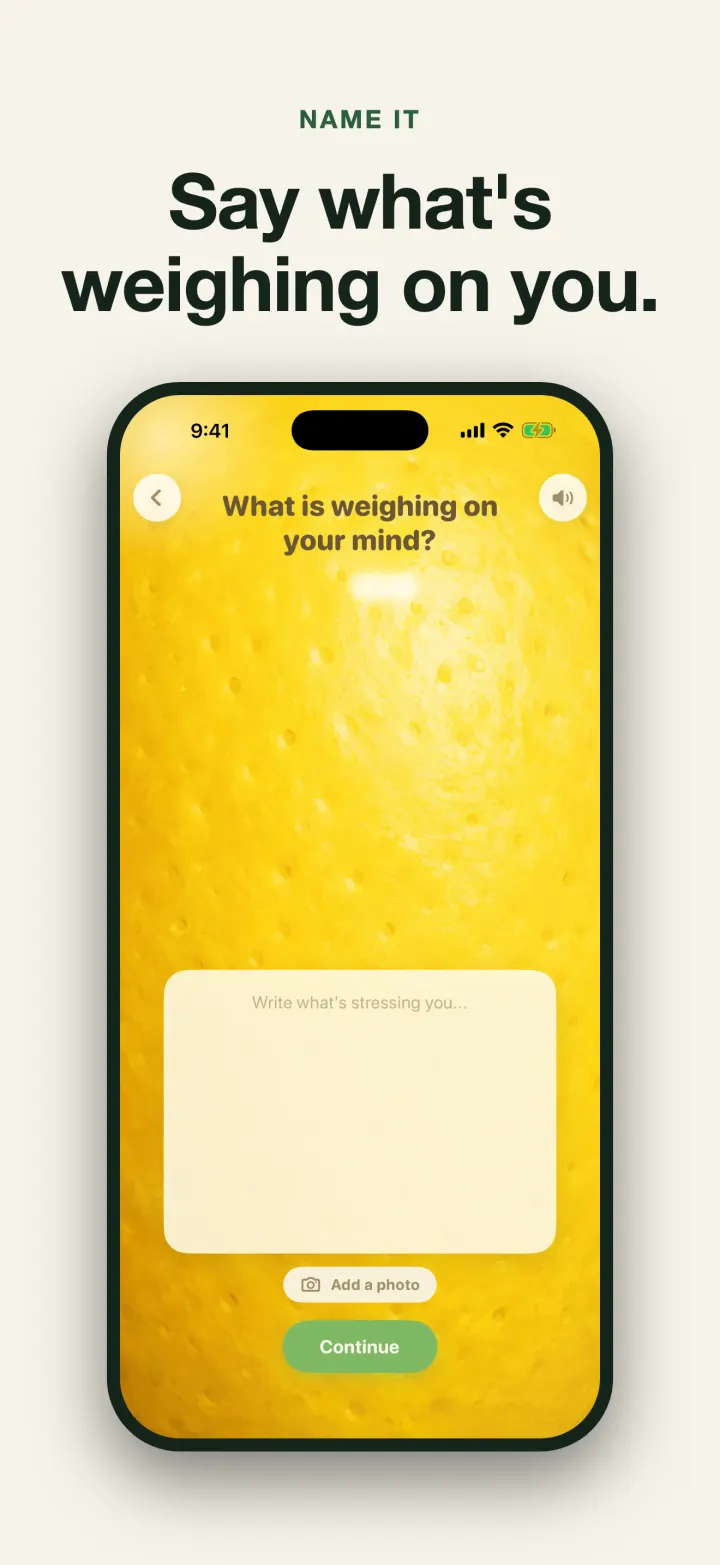 Lemon Squeeze screenshot 2